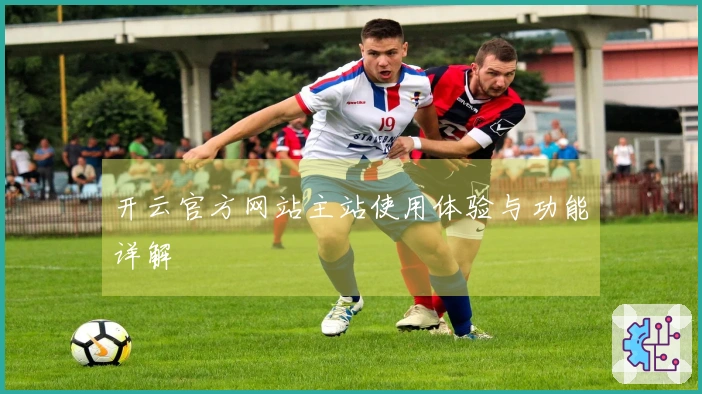 开云官方网站主站使用体验与功能详解