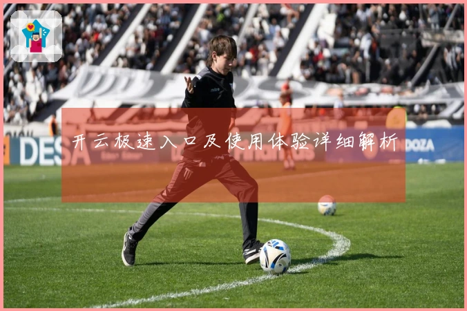 开云极速入口及使用体验详细解析